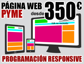 PAGINA WEB PYME